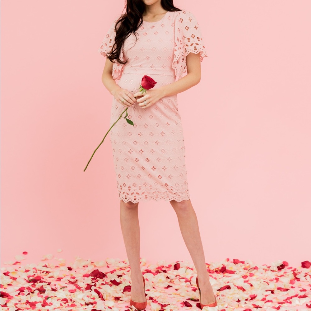 Rachel Parcell Eyelet Sheath